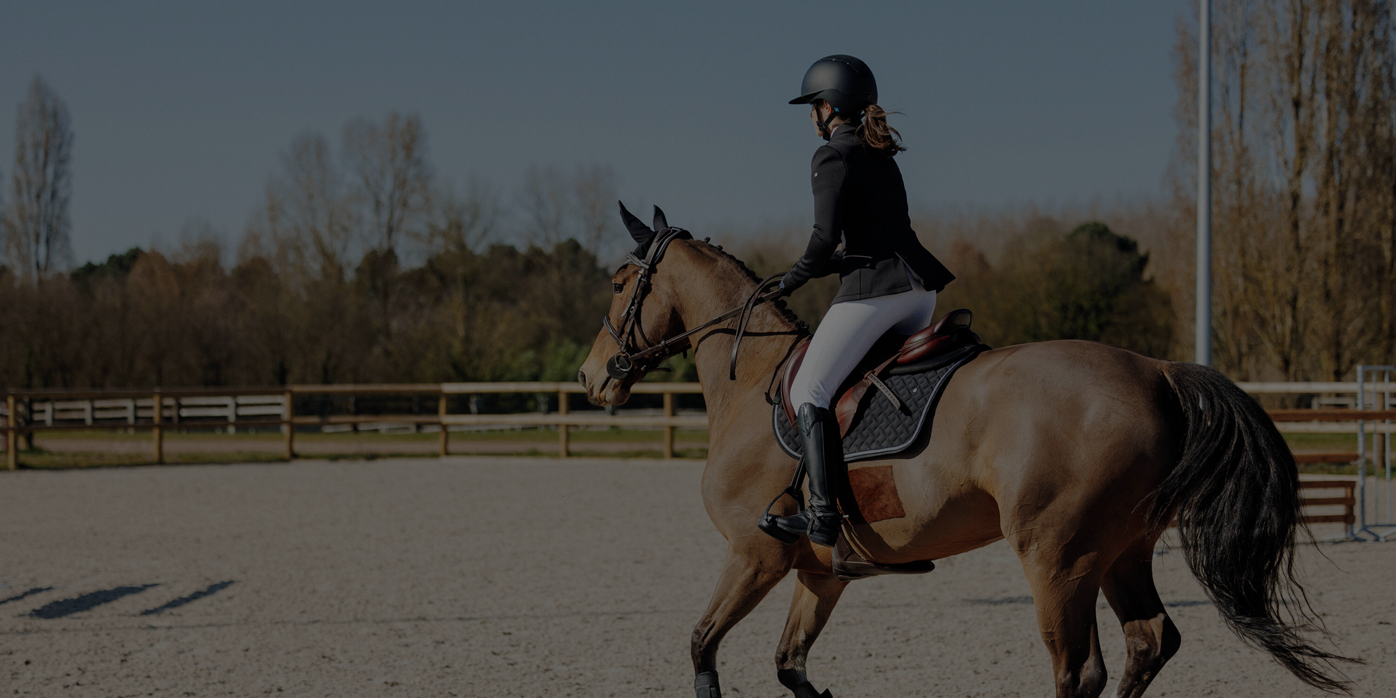 Accesorios para caballo