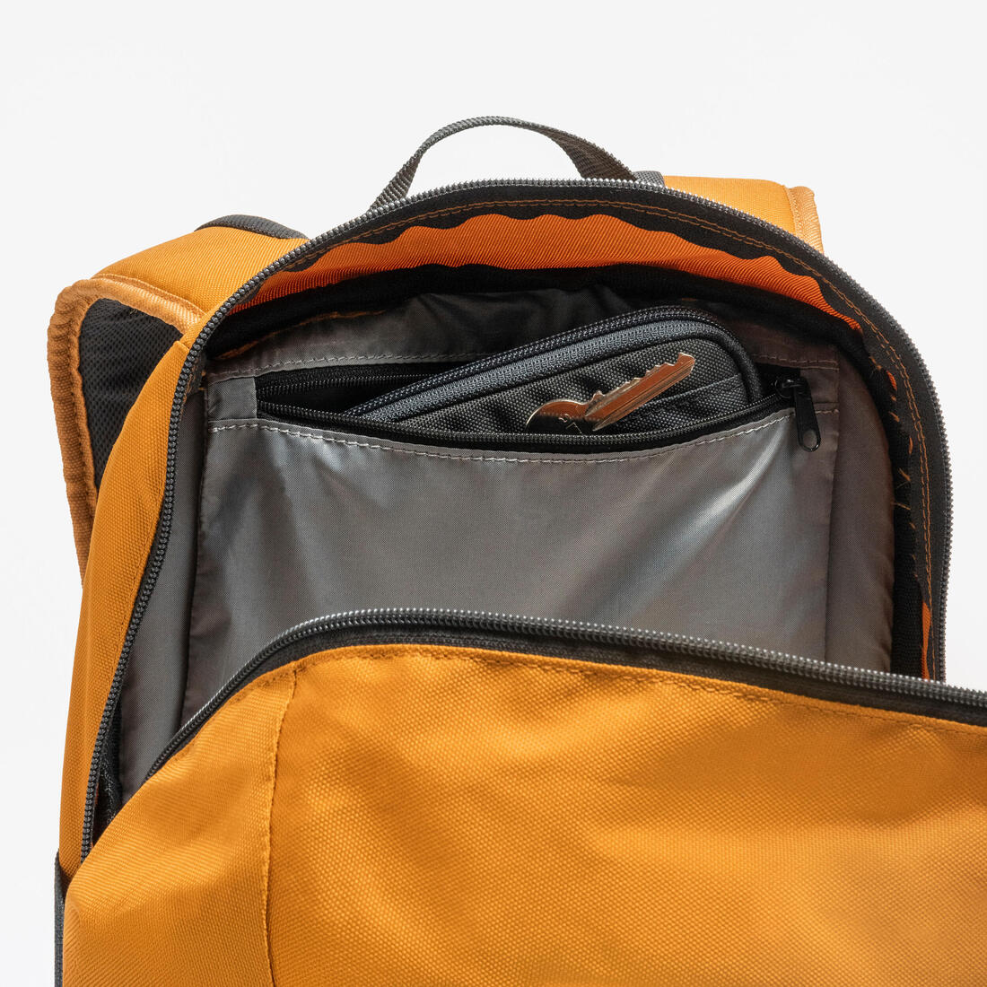 IMG_8955895_8
