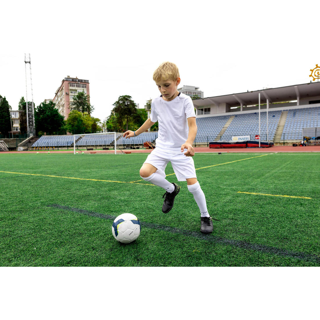IMG_8558493_6