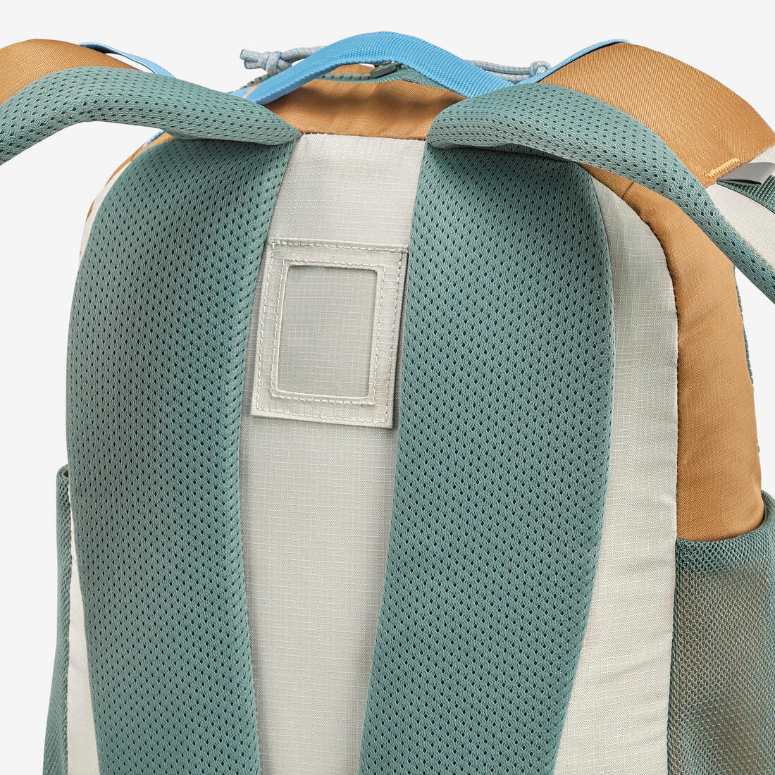 IMG_8739019_9