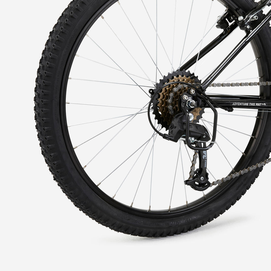 IMG_2663697