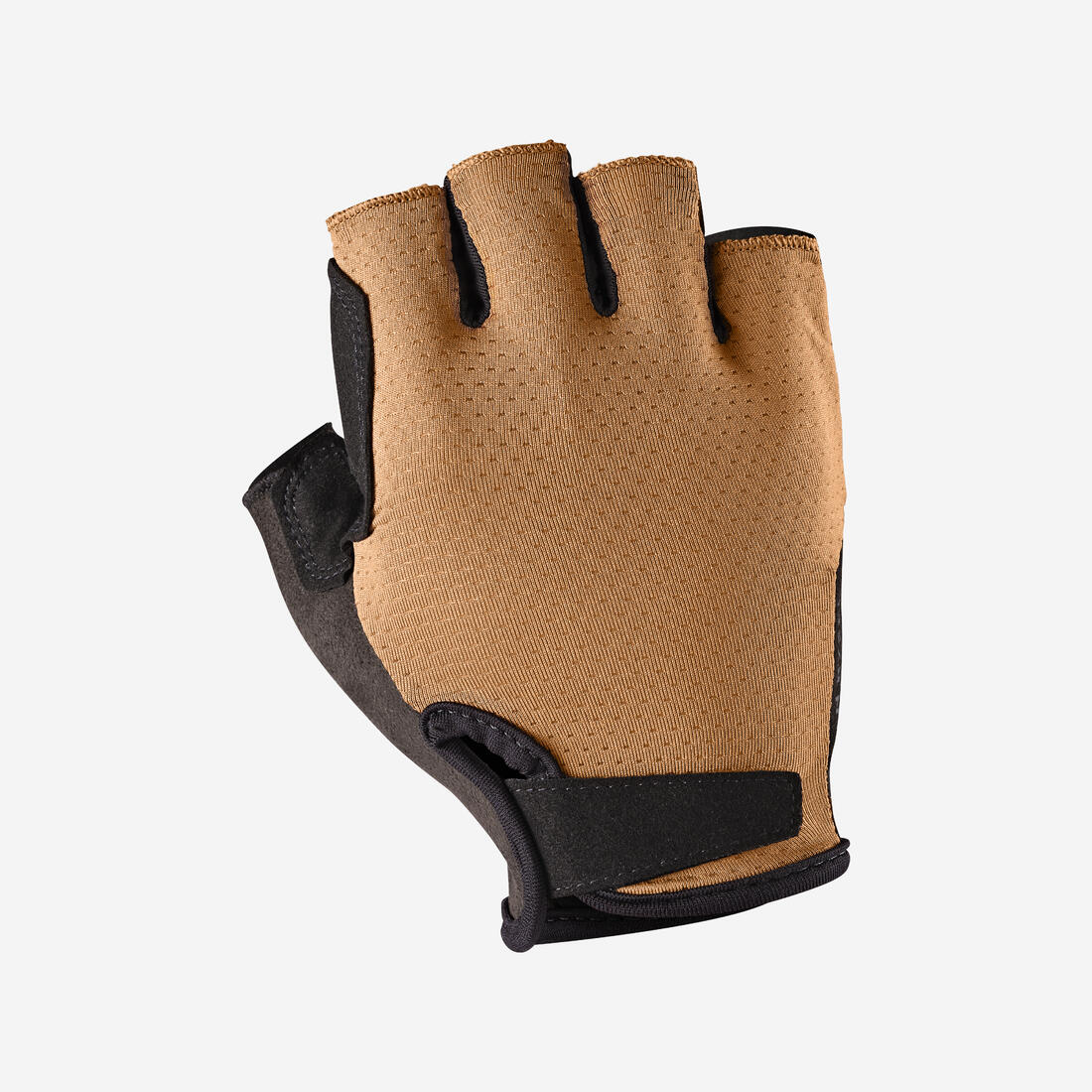 IMG_8901067_1