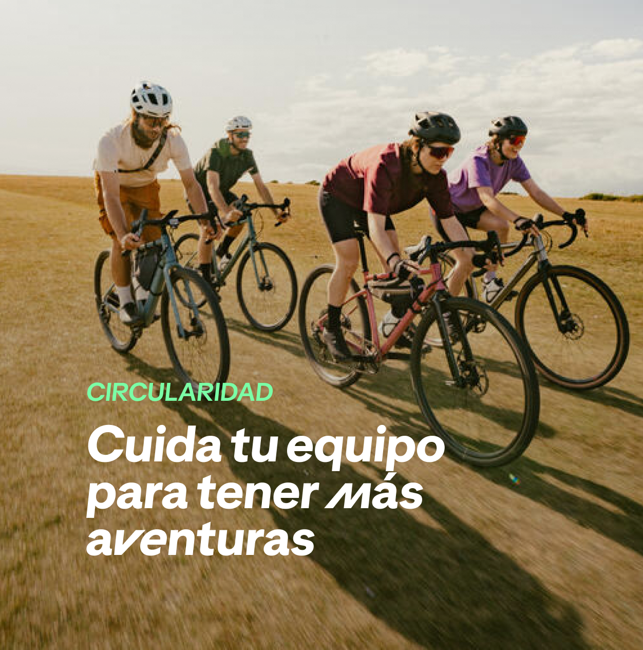 Mantención y reparación