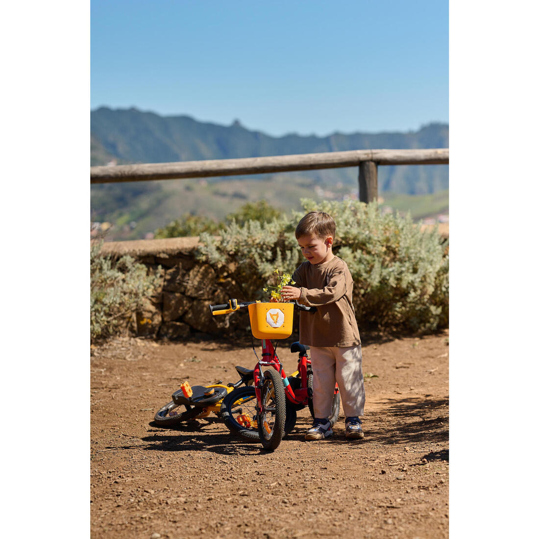 IMG_8842932_11