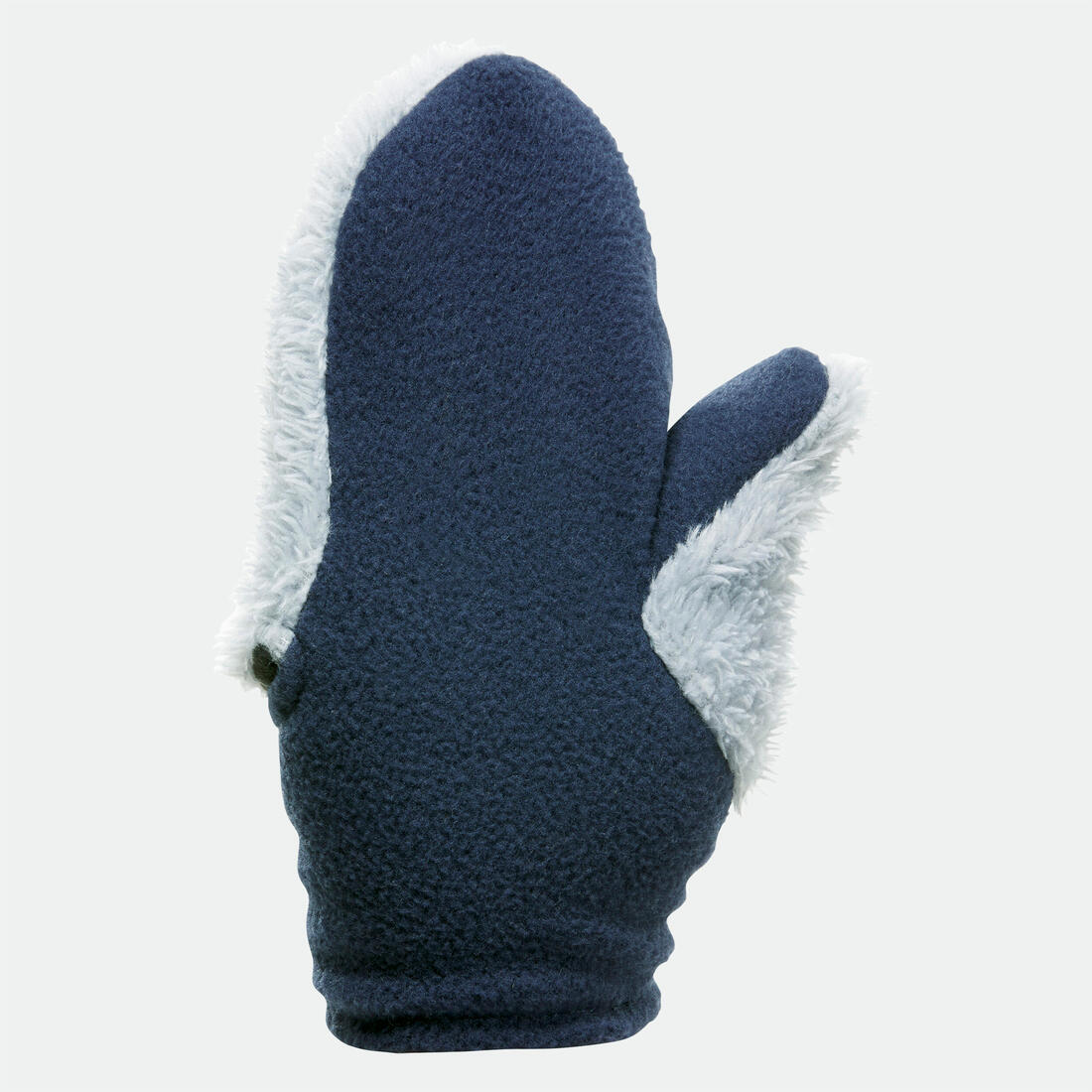 IMG_8951168_3