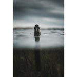 Product thumbnail 7 of 8