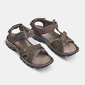 IMG_8583436_6