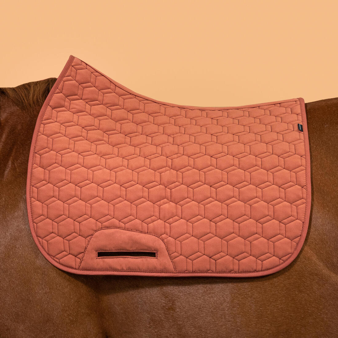 IMG_2382033