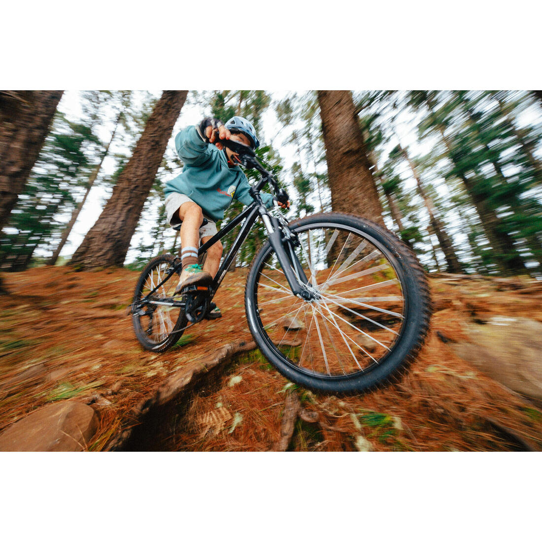 IMG_8733740_3