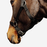Product thumbnail 3 of 5