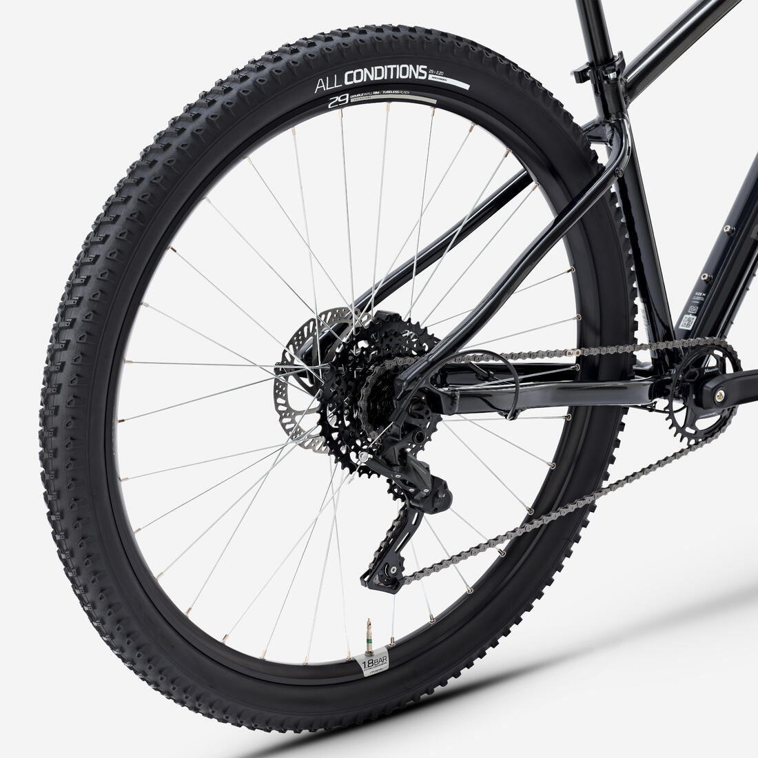 IMG_8920255_5