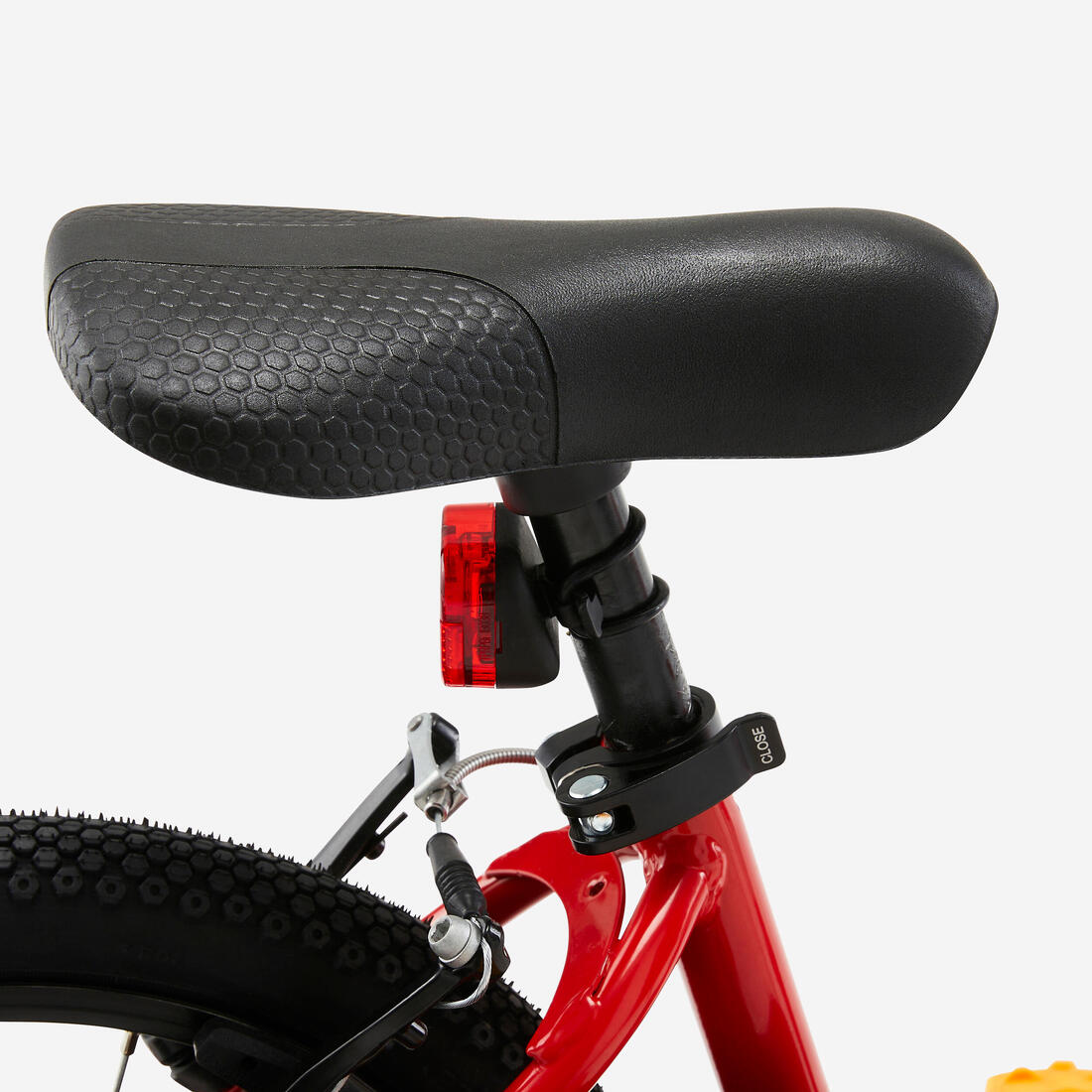 IMG_8646304_9