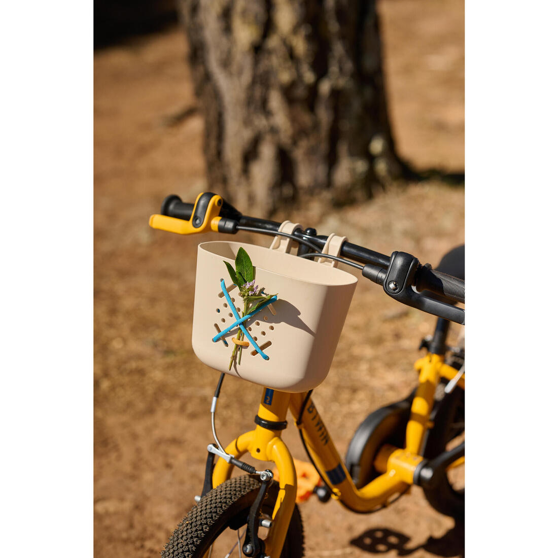 IMG_8842931_8