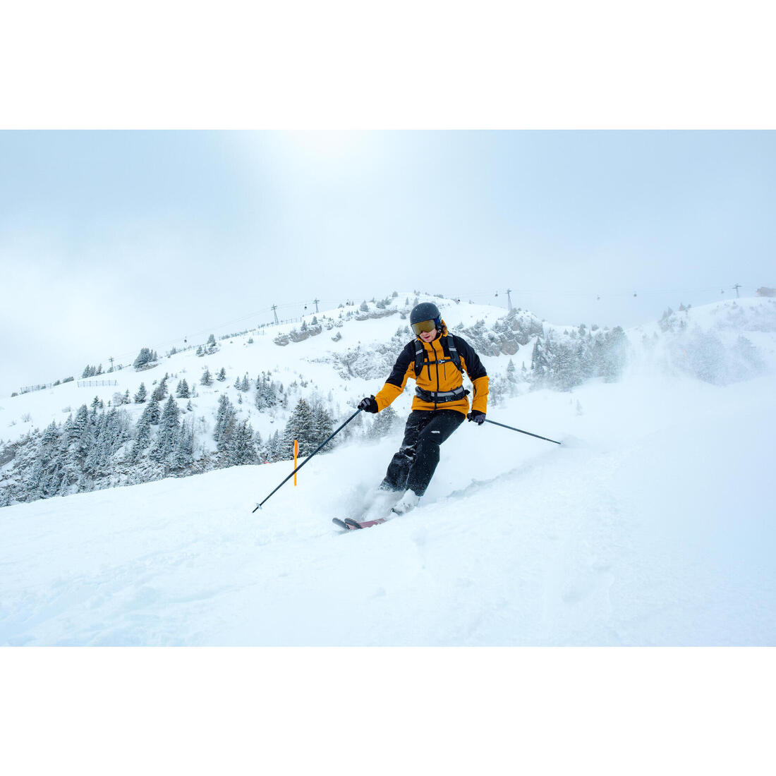 IMG_8861301_9
